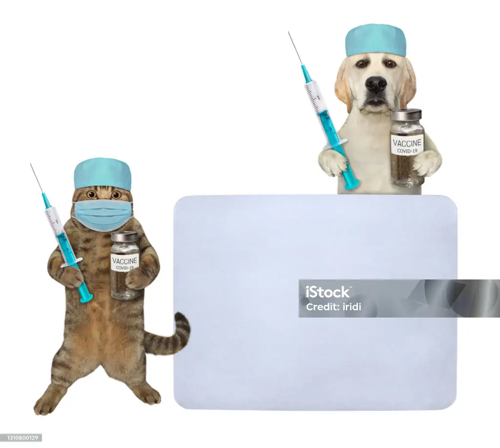 Pronefra – Kidney Support for Cats & Dogs
