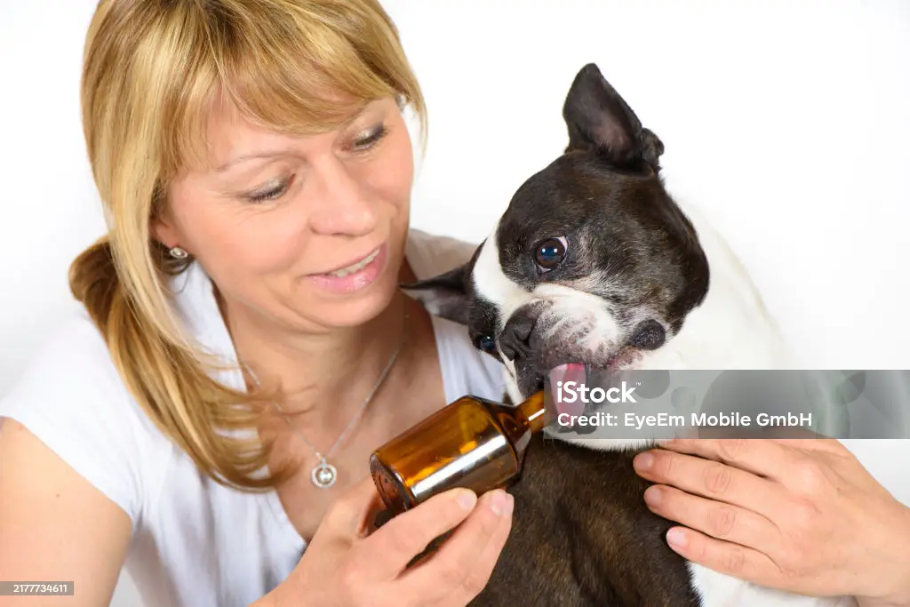 Make Medication Easy for Your Pet with the Pet Inhaler Spacer!
