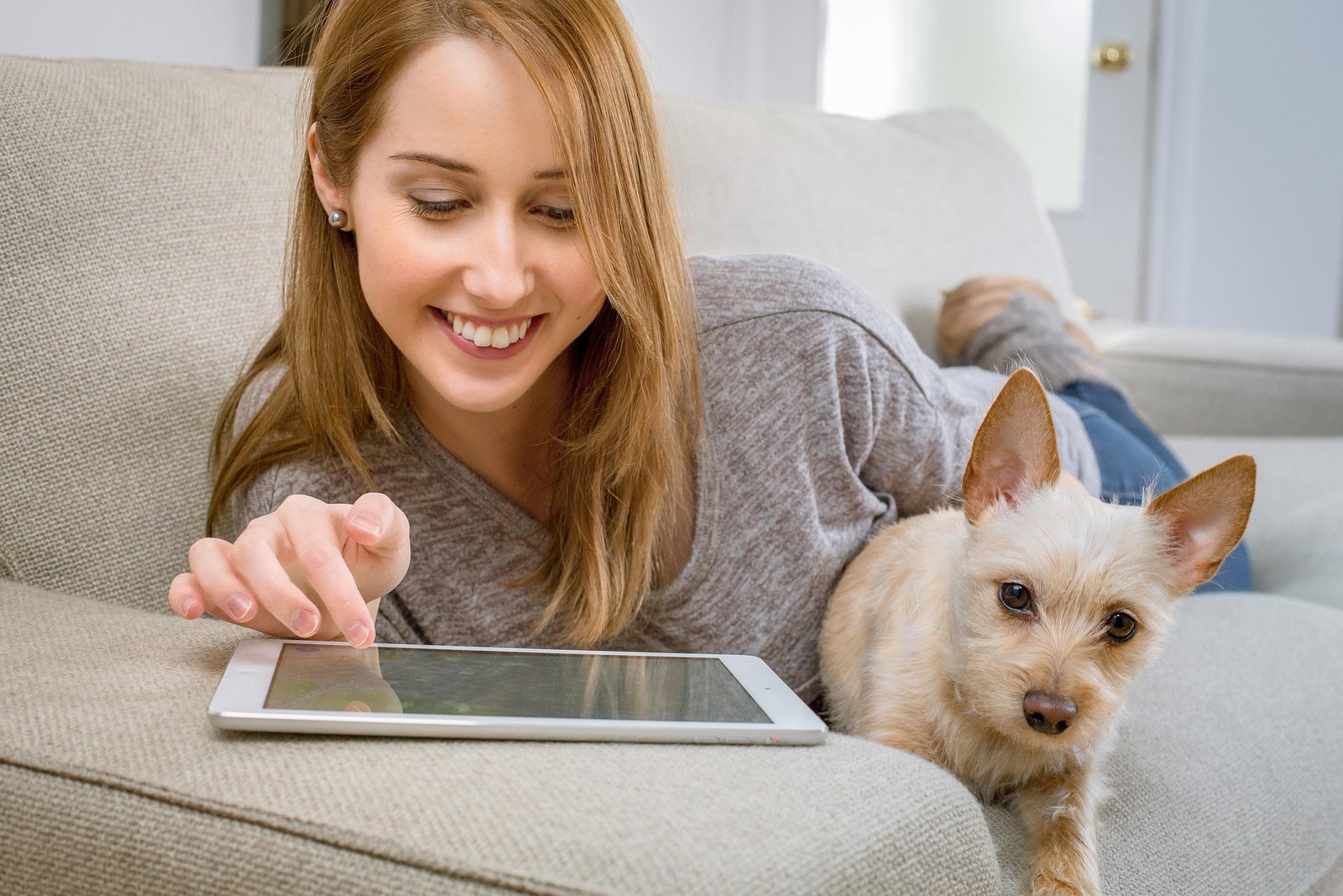 How Pet Movers Take the Stress Out of International Pet Relocation?