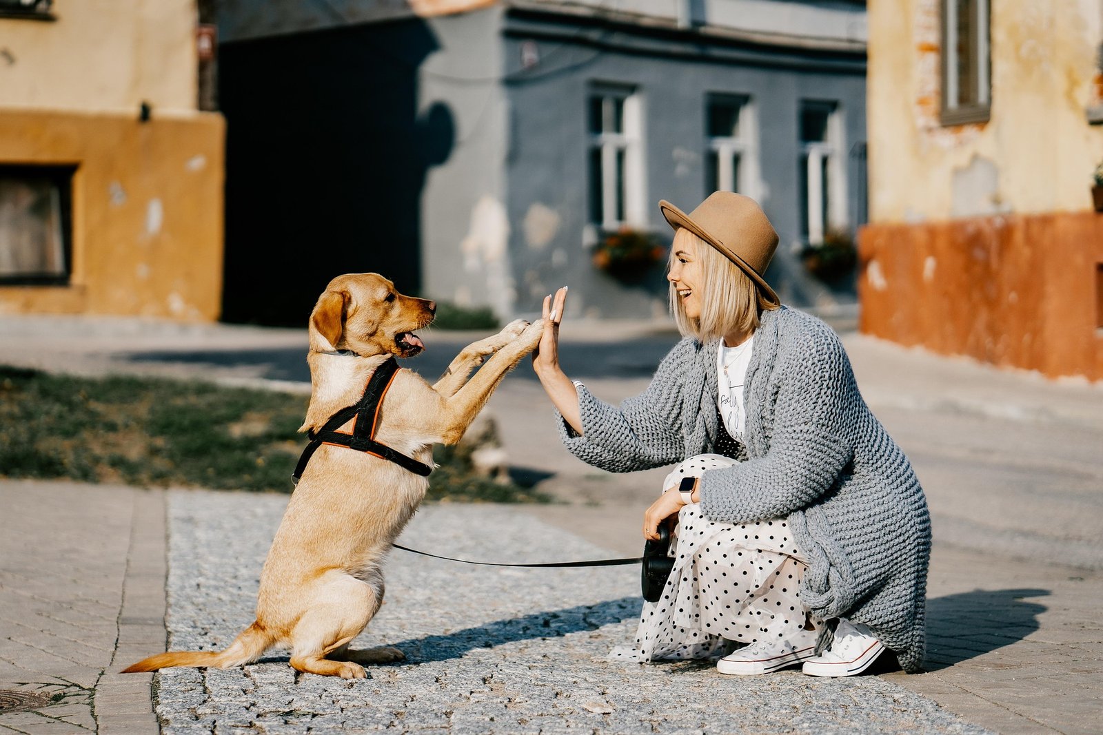Festive Dog Clothes for Rakhi: Dress Your Pet in Love and Tradition